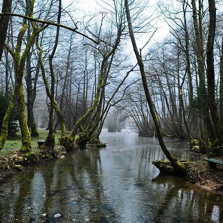 Villa Vrelo Bosne Sarajevo Extérieur photo