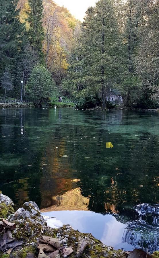 Villa Vrelo Bosne Sarajevo Extérieur photo