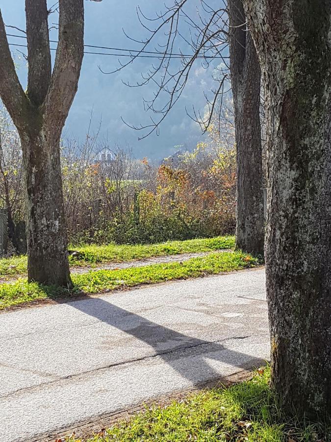 Villa Vrelo Bosne Sarajevo Extérieur photo