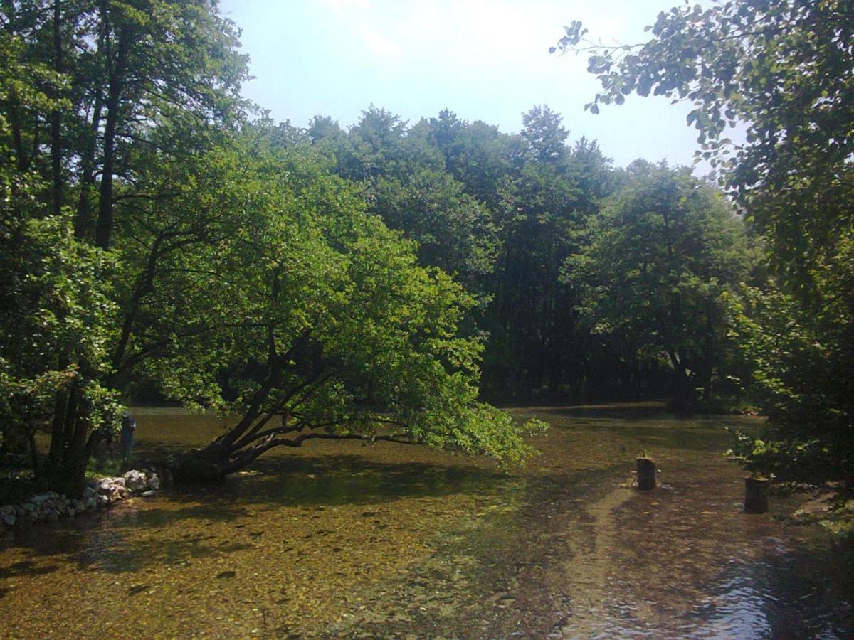 Villa Vrelo Bosne Sarajevo Extérieur photo