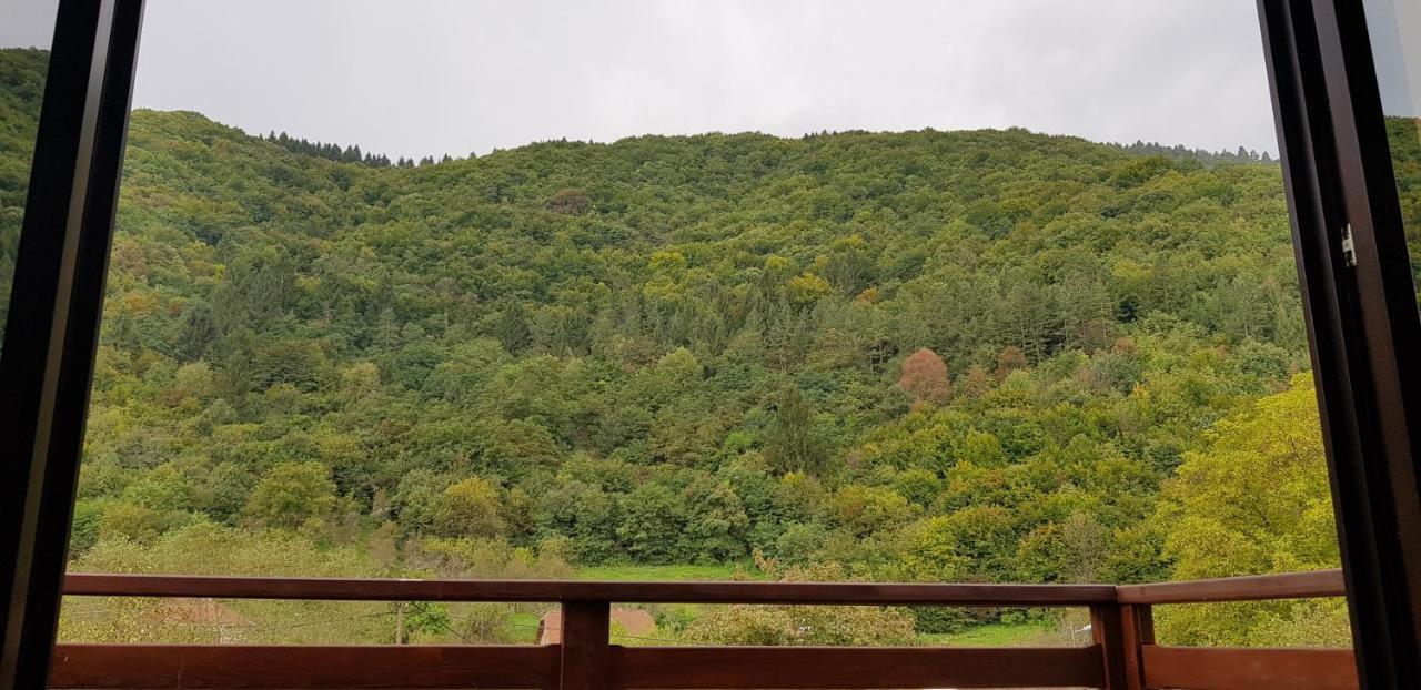 Villa Vrelo Bosne Sarajevo Extérieur photo